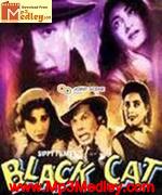 Black Cat 1959 song download